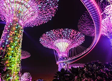 Trip Packages - 半岛体育 APP