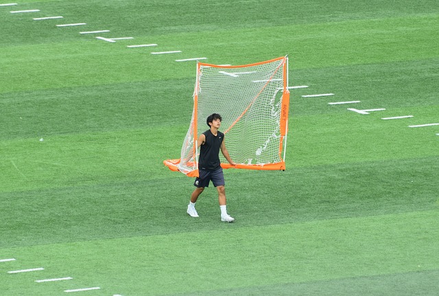 东家托特纳