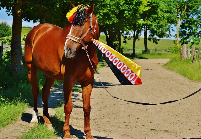 过去的多场 过去的多场