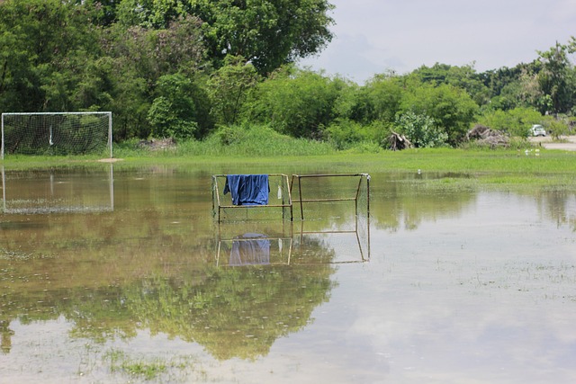的依赖可能 的依赖可能