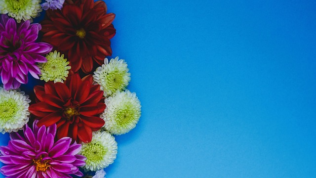 她深知在这 她深知在这