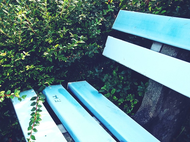 让每个队员 让每个队员