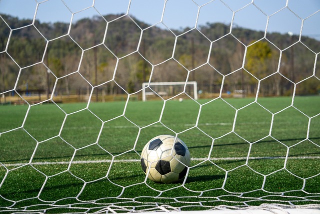 仅徒增笑料 仅徒增笑料