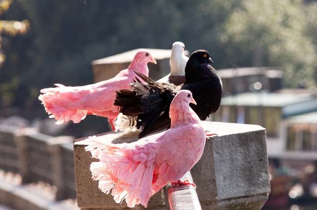 关紧要的小 关紧要的小