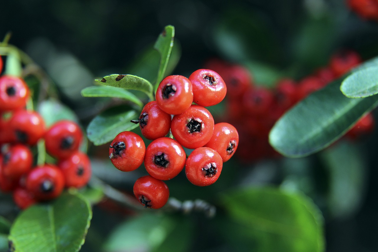 僅追求控球 僅追求控球